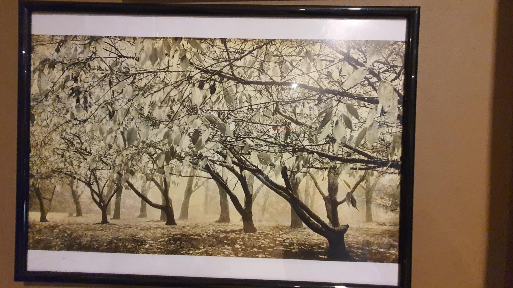 Bowral Road Art Gallery Bed And Breakfast Mittagong Exterior foto
